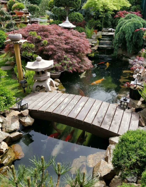 Taman dengan konsep Jepang yang memiliki kolam ikan dan jembatan kecil